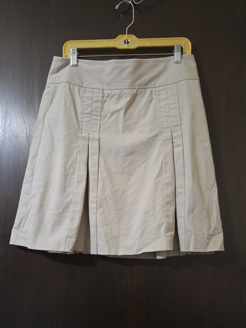 Ann Taylor Loft cream Pleated Skirt 10